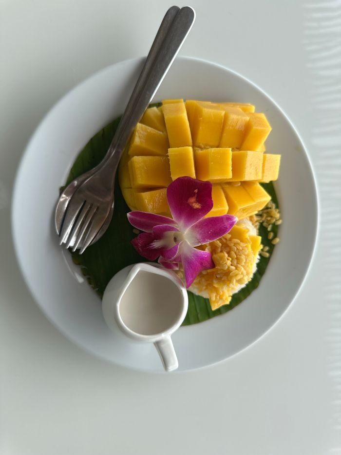Delicious mango sticky rice dessert with tropical flair and orchid garnish.